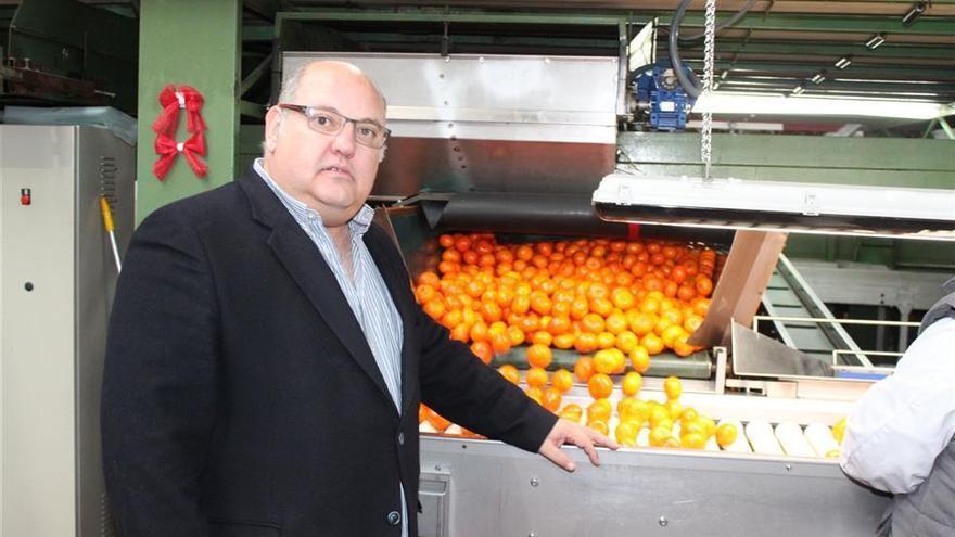 García Ballester y un distribuidor local se alían para vender naranjas en China