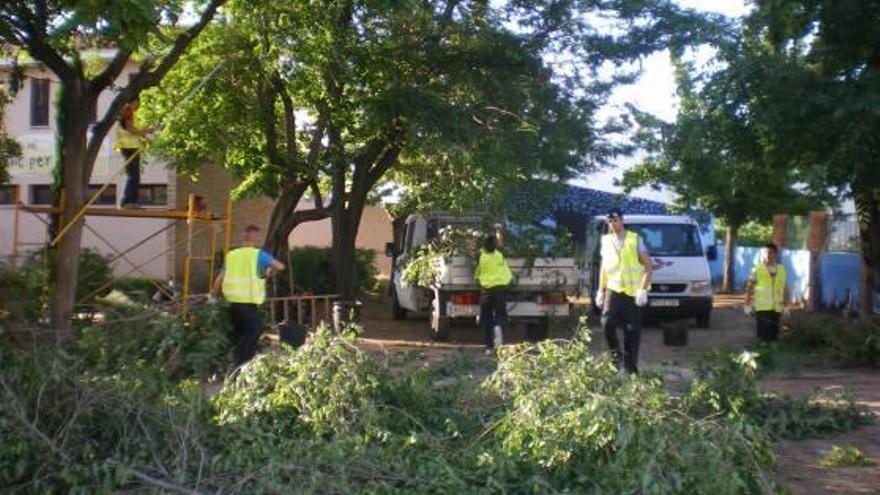 Jóvenes parados adecuan zonas verdes en Canals