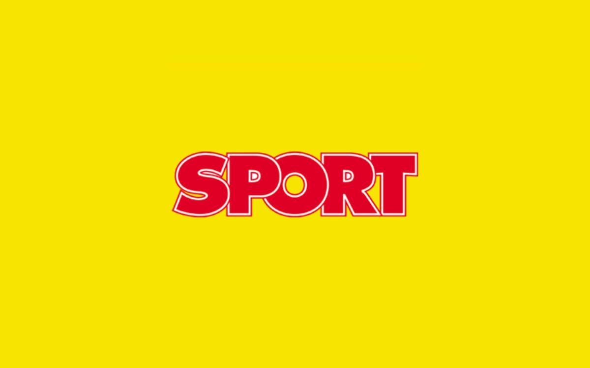 logo-amarillo-web logo-amarillo-web