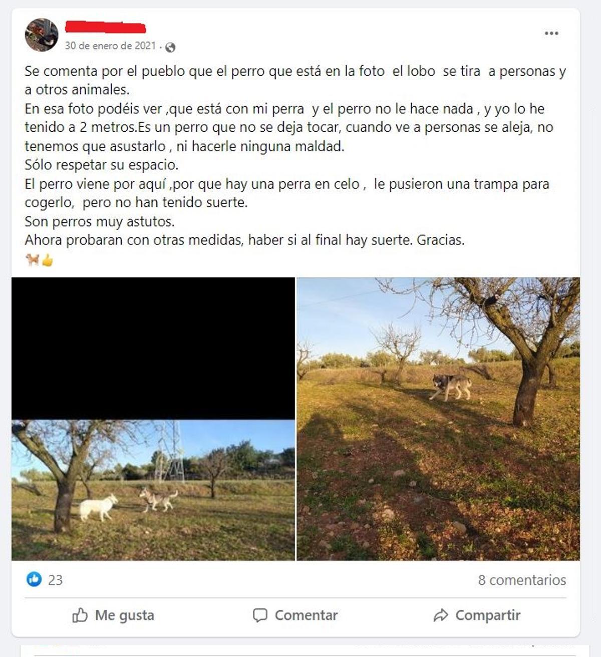 Un usuario explica que un perro 'lobo' visitó su campo en 2021.
