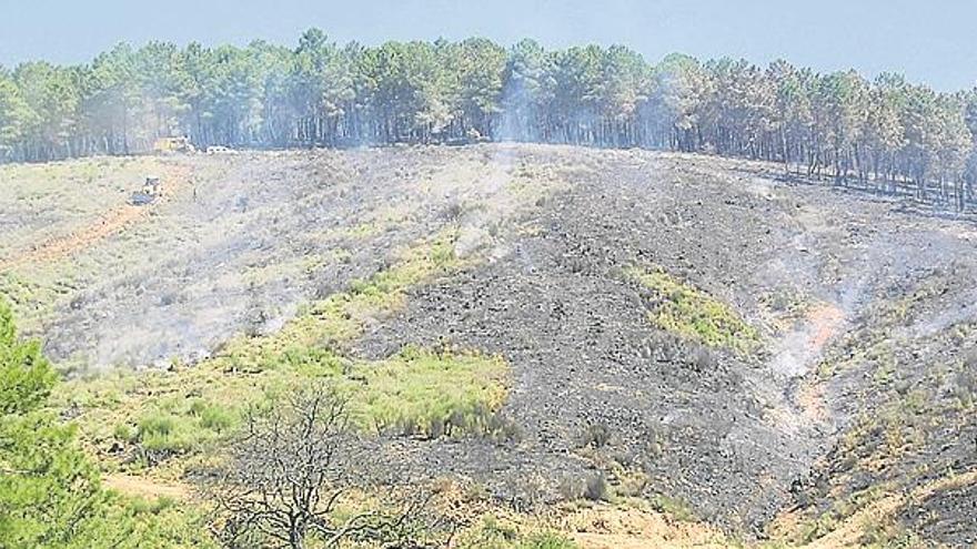 Licitan obra para adecuar montes en sierra de gata