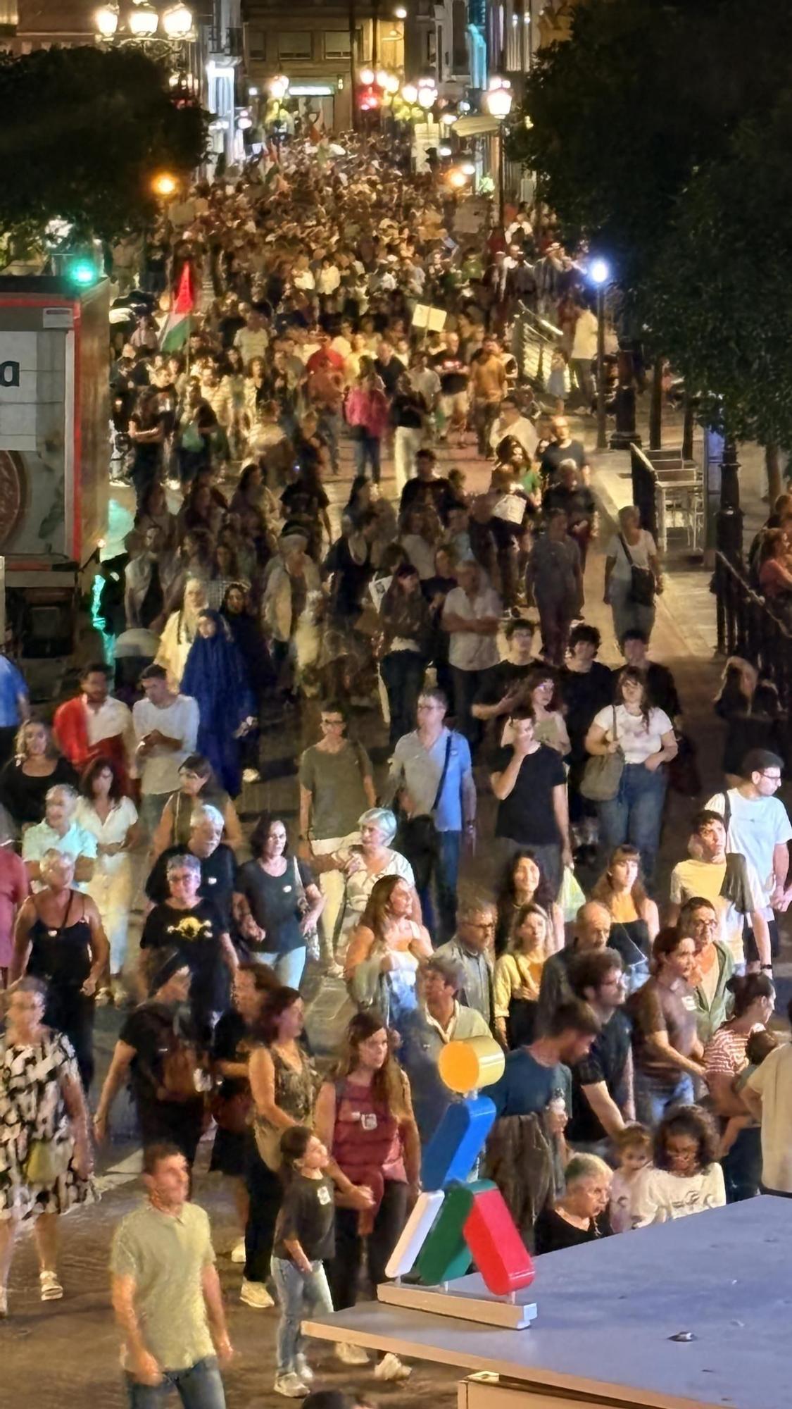 Galería de imágenes: Castellón sale a la calle en defensa de Palestina