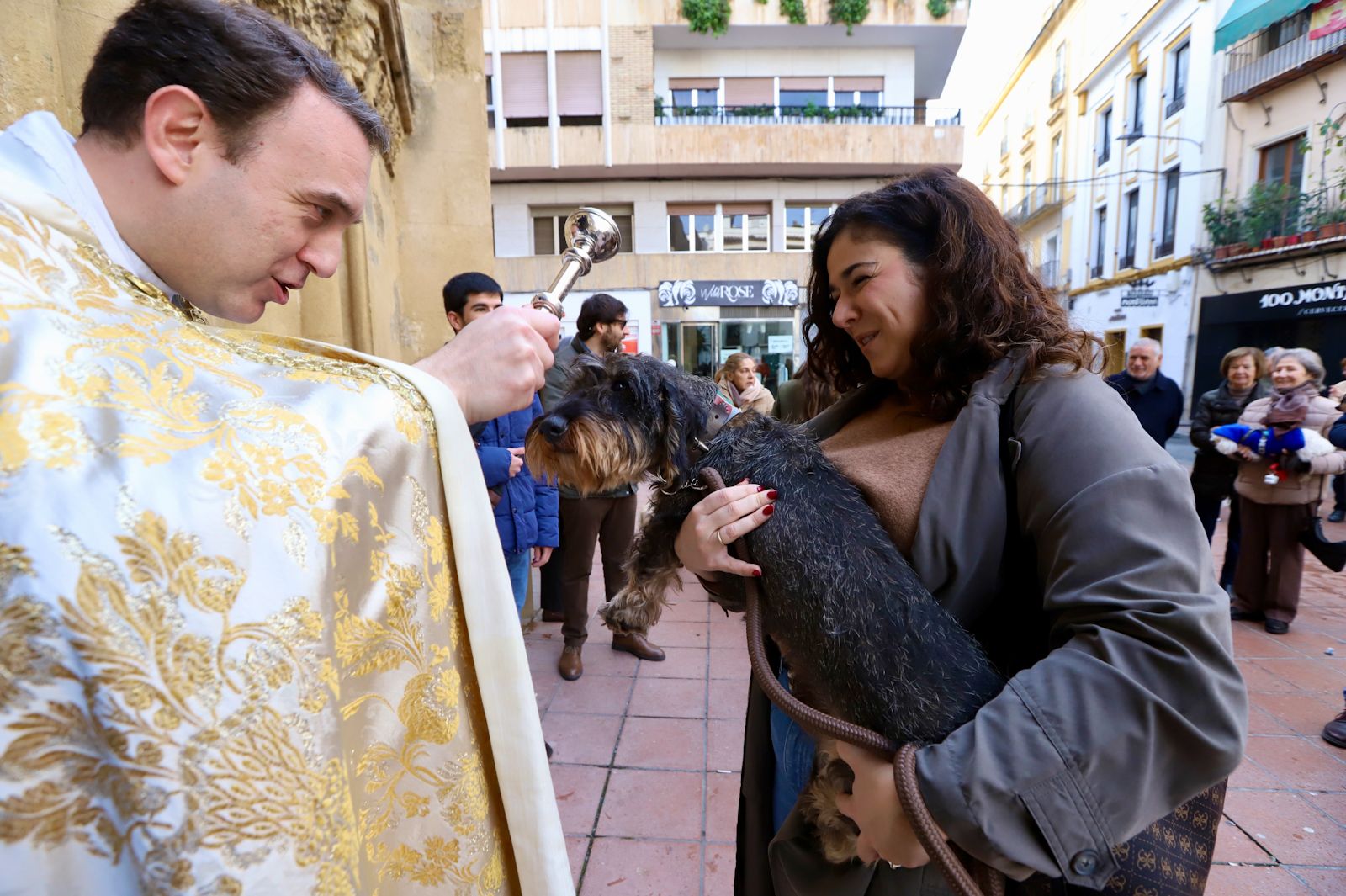 Las mascotas cordobesas reciben la bendición por San Antonio Abad
