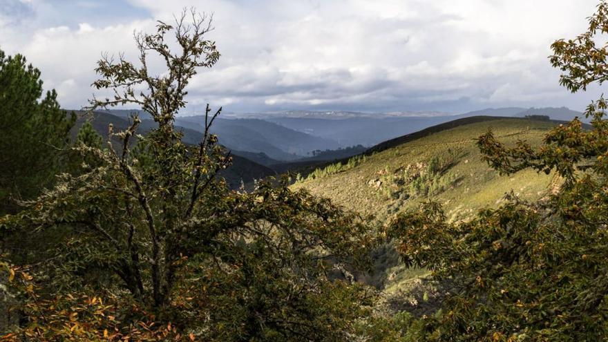 &quot;Se quema la Sierra de la Culebra y no hay dinero, para Doñana sí&quot;