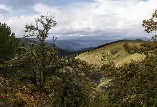 "Se quema la Sierra de la Culebra y no hay dinero, para Doñana sí"