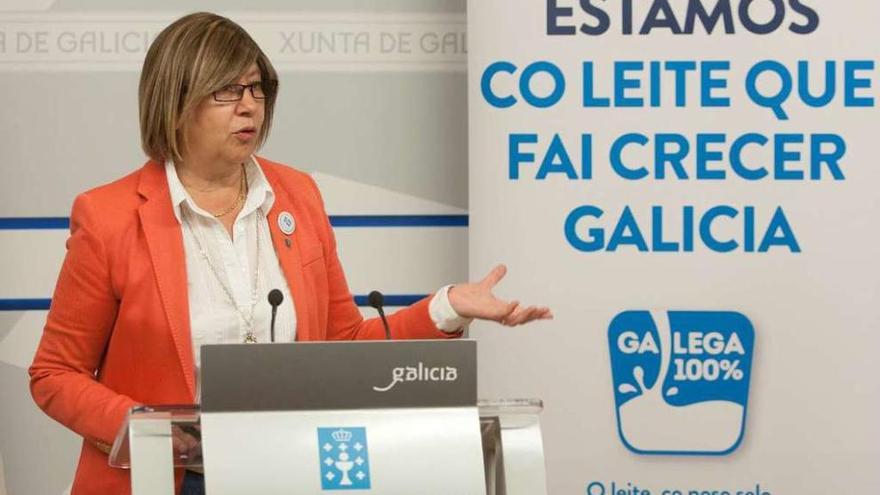 A conselleira de Medio Rural, Rosa Quintana, onte, en rolda de prensa.