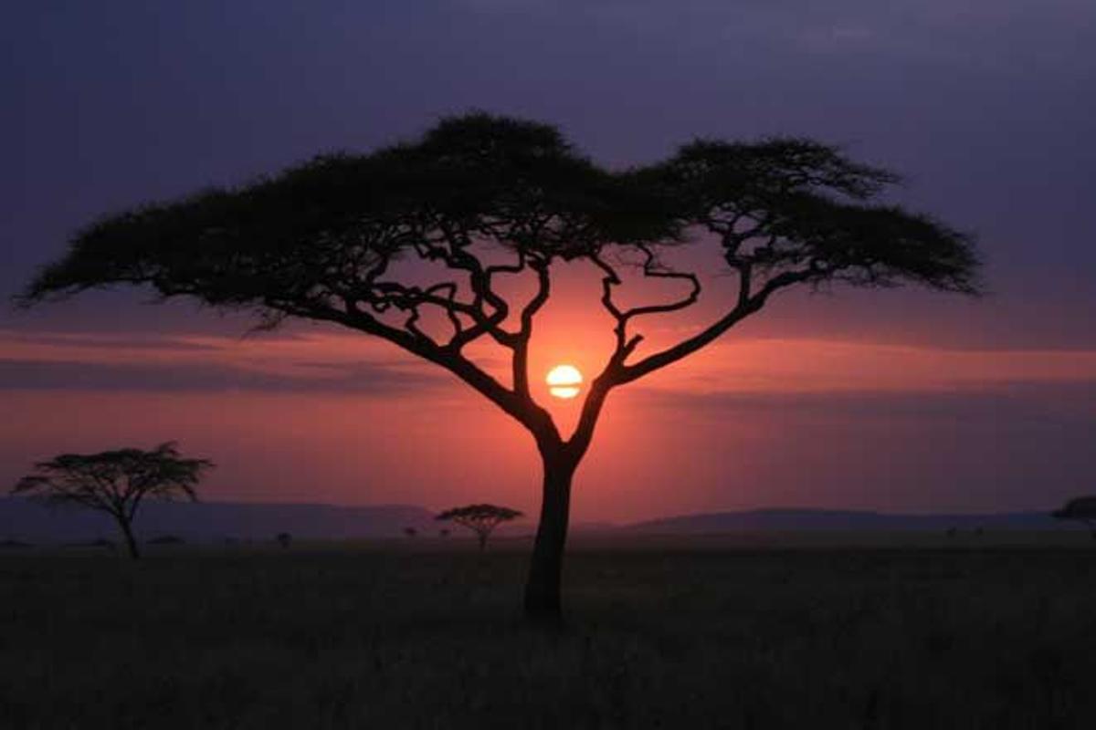 Parque Nacional dle Serengeti, en Tanzania.