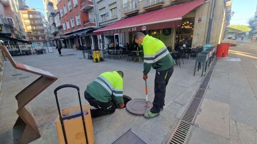 Ponen en marcha la campaña estival de desratización en las calles vilagarcianas