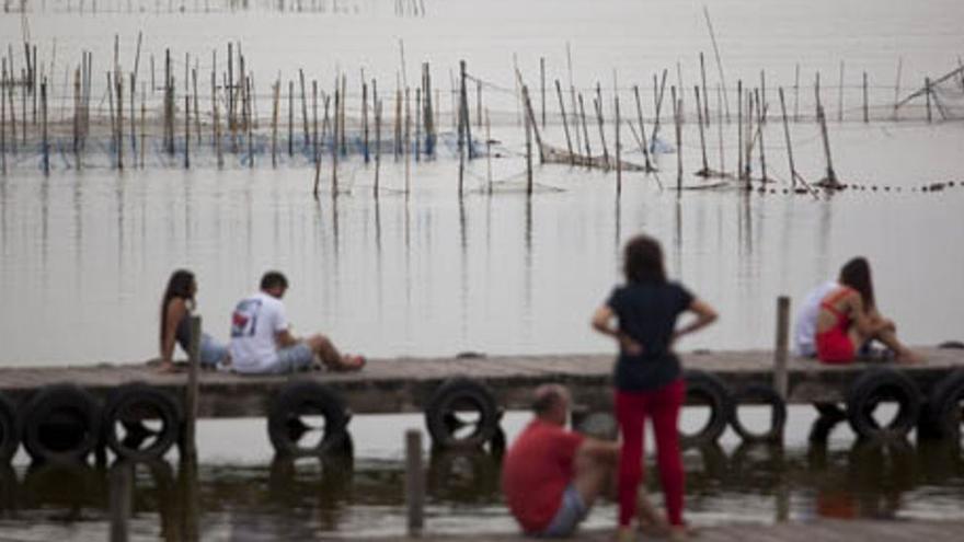 La Albufera de València