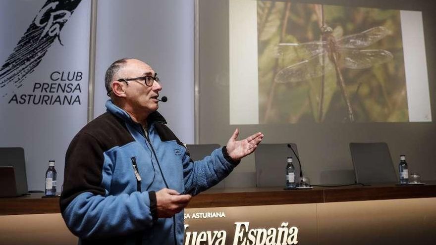 José Antonio García Cañal, durante la conferencia que impartió ayer.