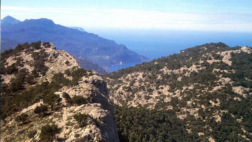 Puigs de Mallorca.