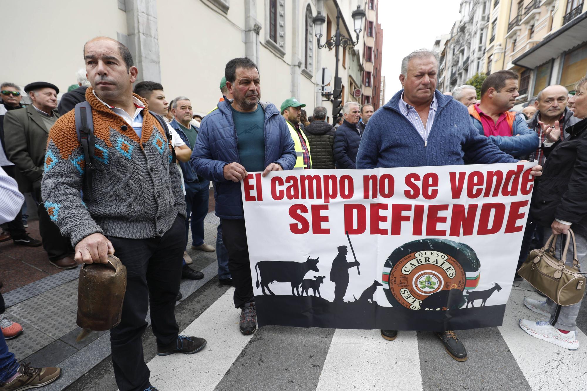 EN IMÁGENES: Así fue la tractorada de protesta del campo asturiano en Oviedo