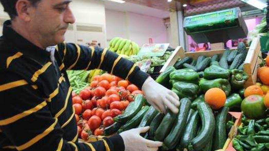 Calabacín y berenjena a precio de oro