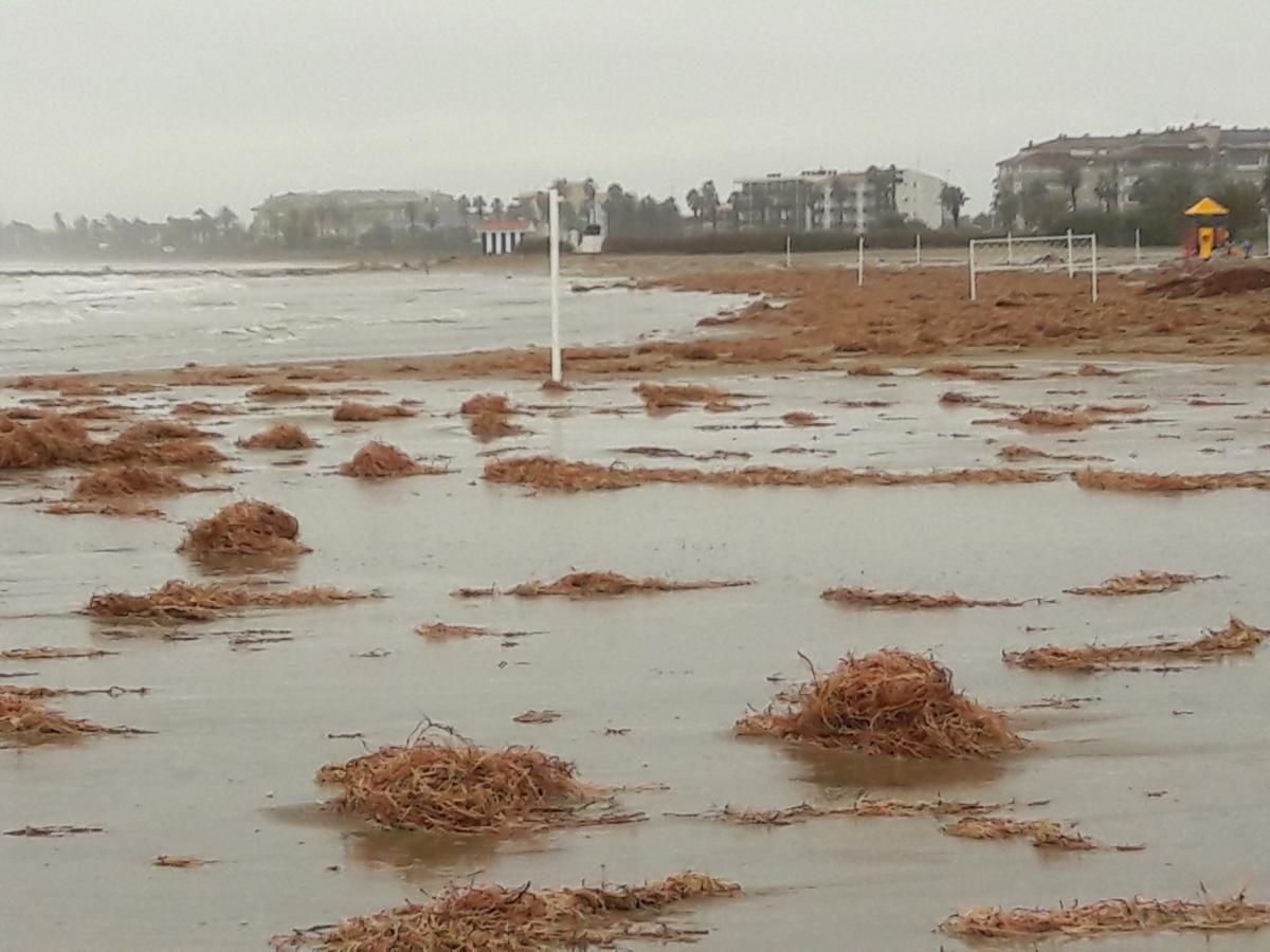 Temporal en Castellón