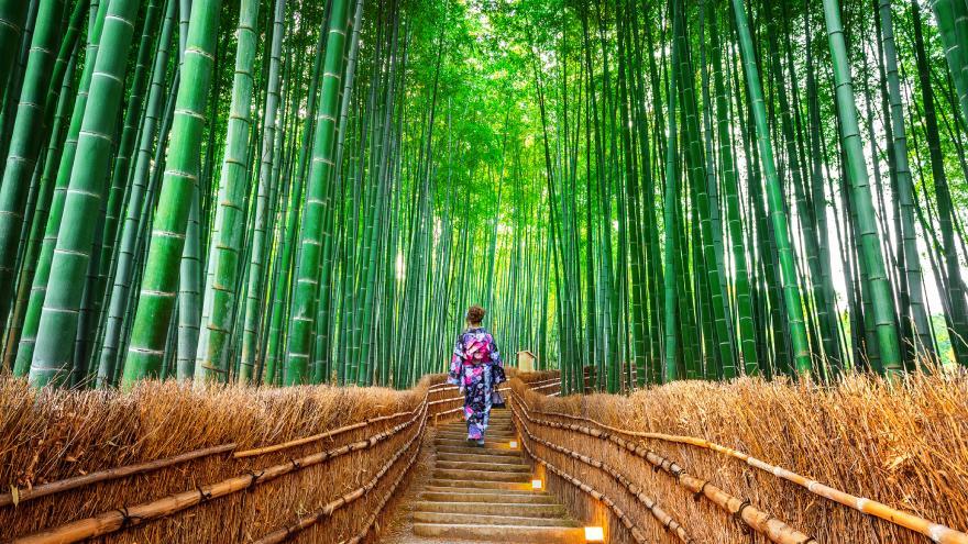 Descubre toda la esencia de Japón en la próxima Expedición VIAJAR.