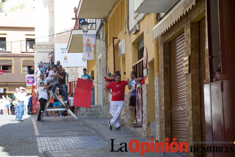 Primer encierro Fiestas de Moratalla