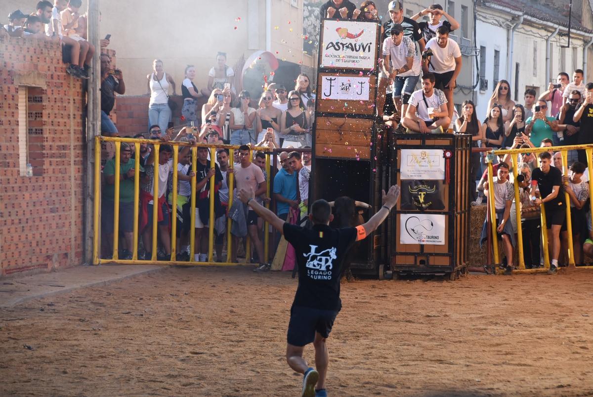 La fiesta taurina de Villanueva de Azoague, en imágenes La fiesta taurina de Villanueva de Azoague, en imágenes