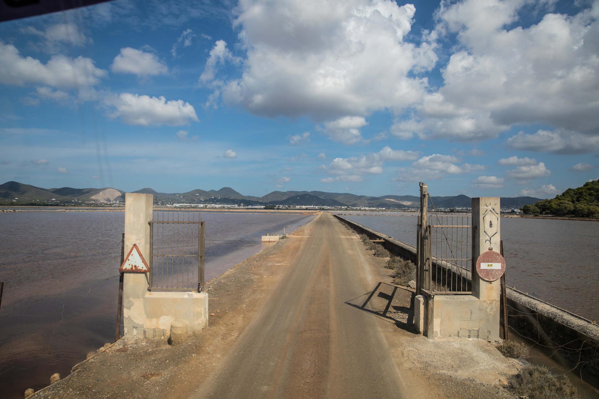 Salinera de Ibiza