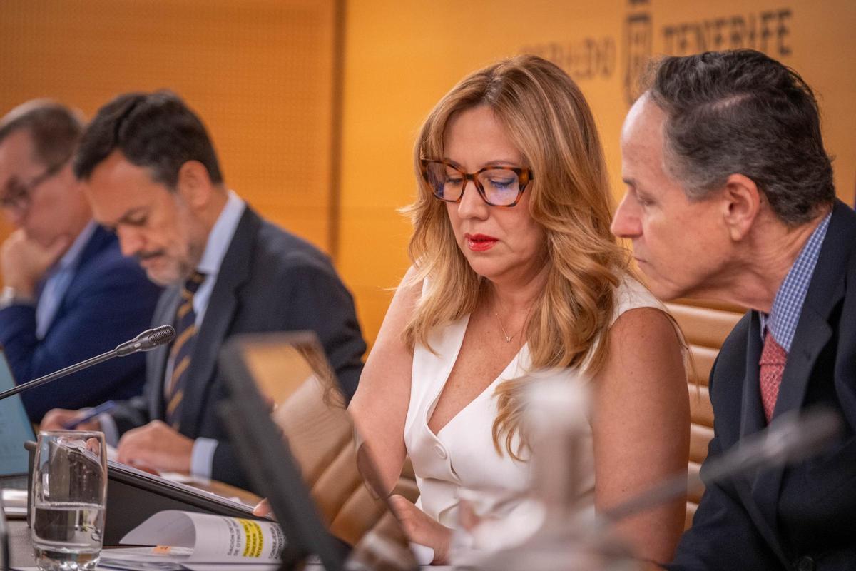 Debate sobre el estado de la isla de Tenerife