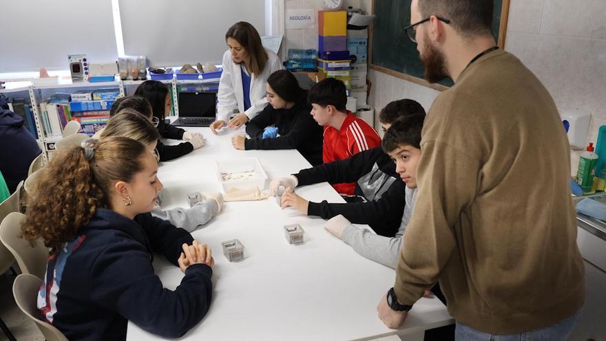 Alumnos aprenden la importancia de los disruptores endocrinos a través de los insectos