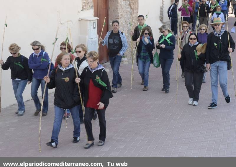 GALERÍA DE FOTOS - Romería Magdalena 2014 (3)