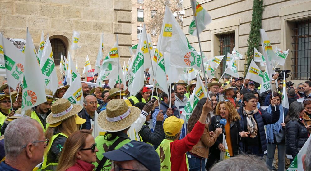 Así ha sido la manifestación de los agricultores