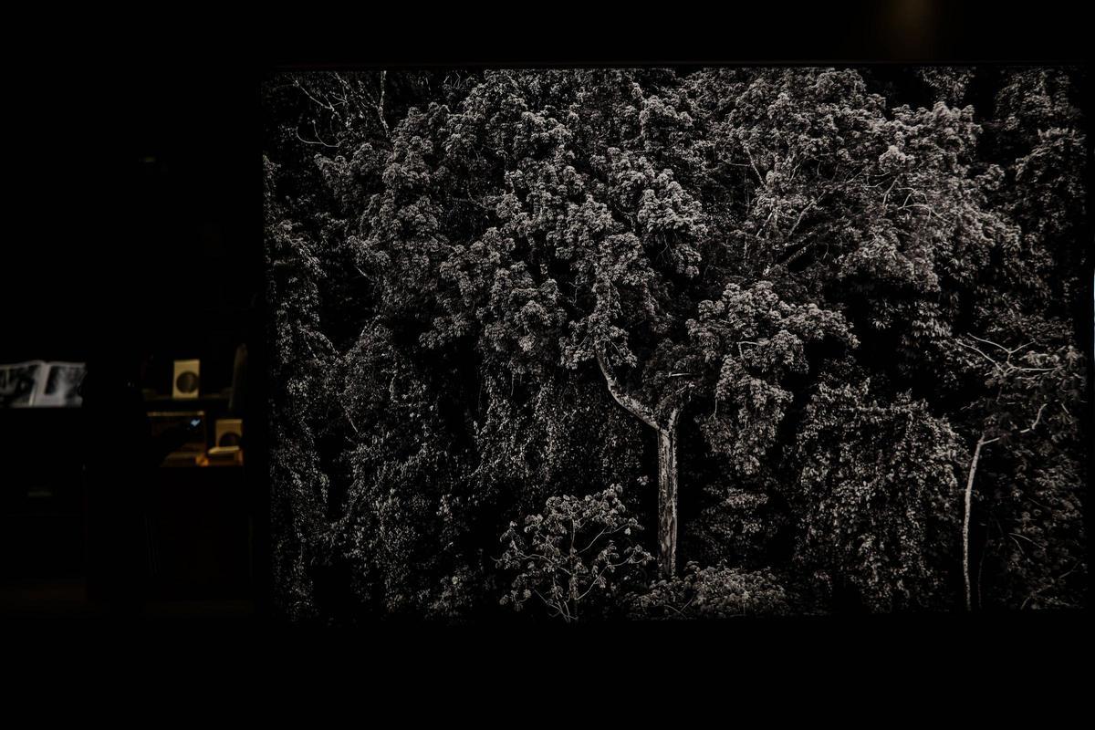 Exposición fotográfica Amazônia, de Sebastião Salgado, en Barcelona