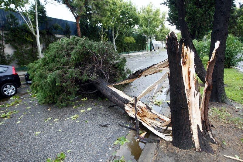 Fuerte tormenta en Zaragoza