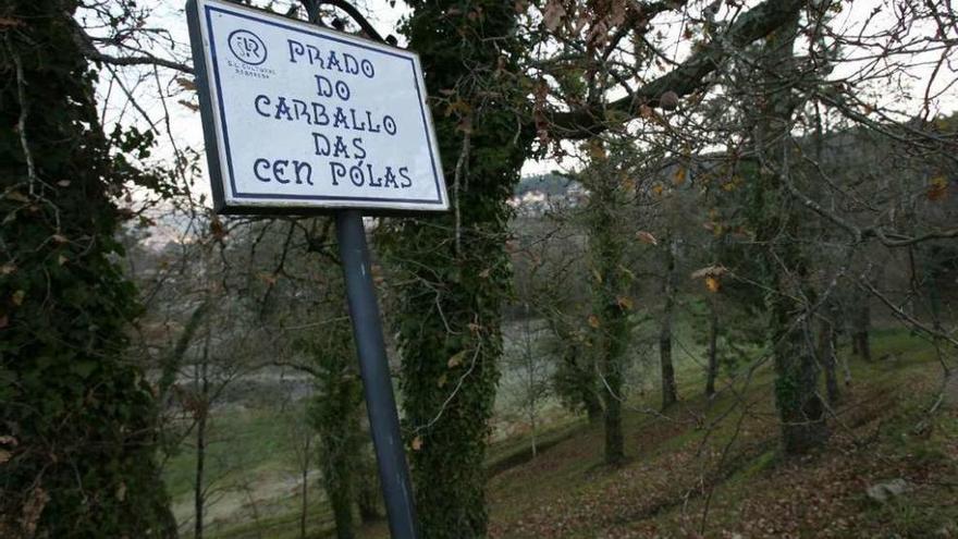 Vista de la finca del &quot;Carballo das Cen Pólas&quot;, en la parroquia de Reboreda. // FdV