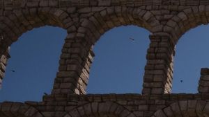 El acueducto de Segovia es un lugar perfecto para que los vencejos aniden en los huecos de sus sillares.