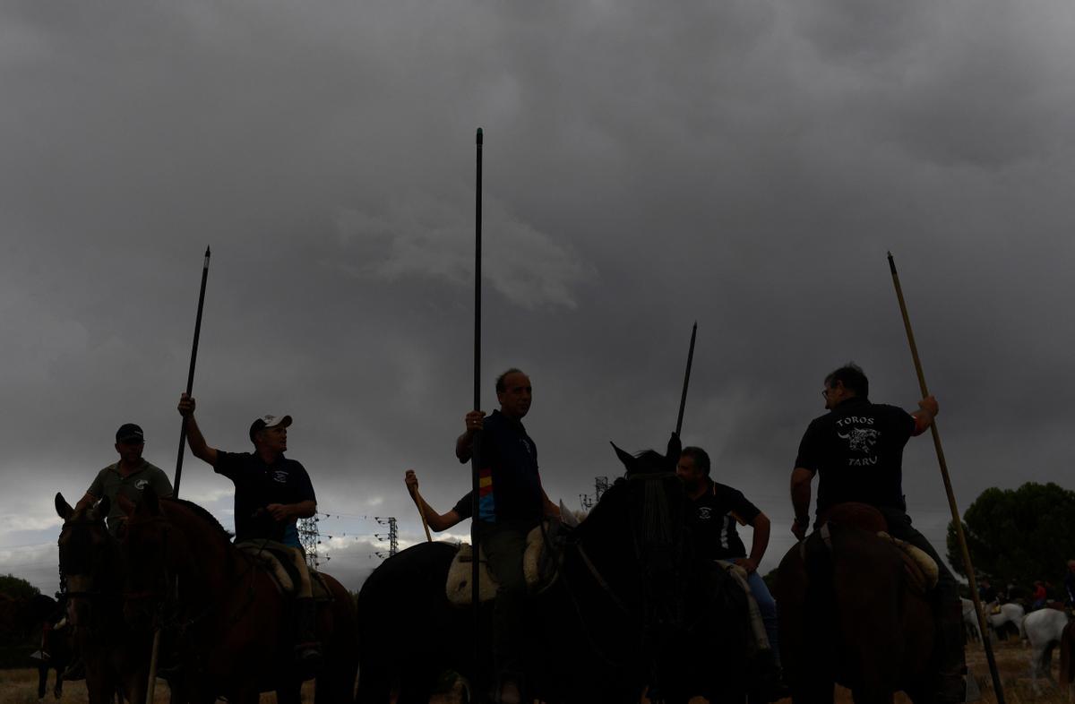 Los festejos del Toro de la Vega, en imágenes