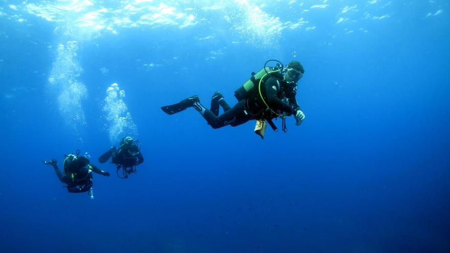 Los tesoros del Mar Mediterráneo en las aguas de Castellón