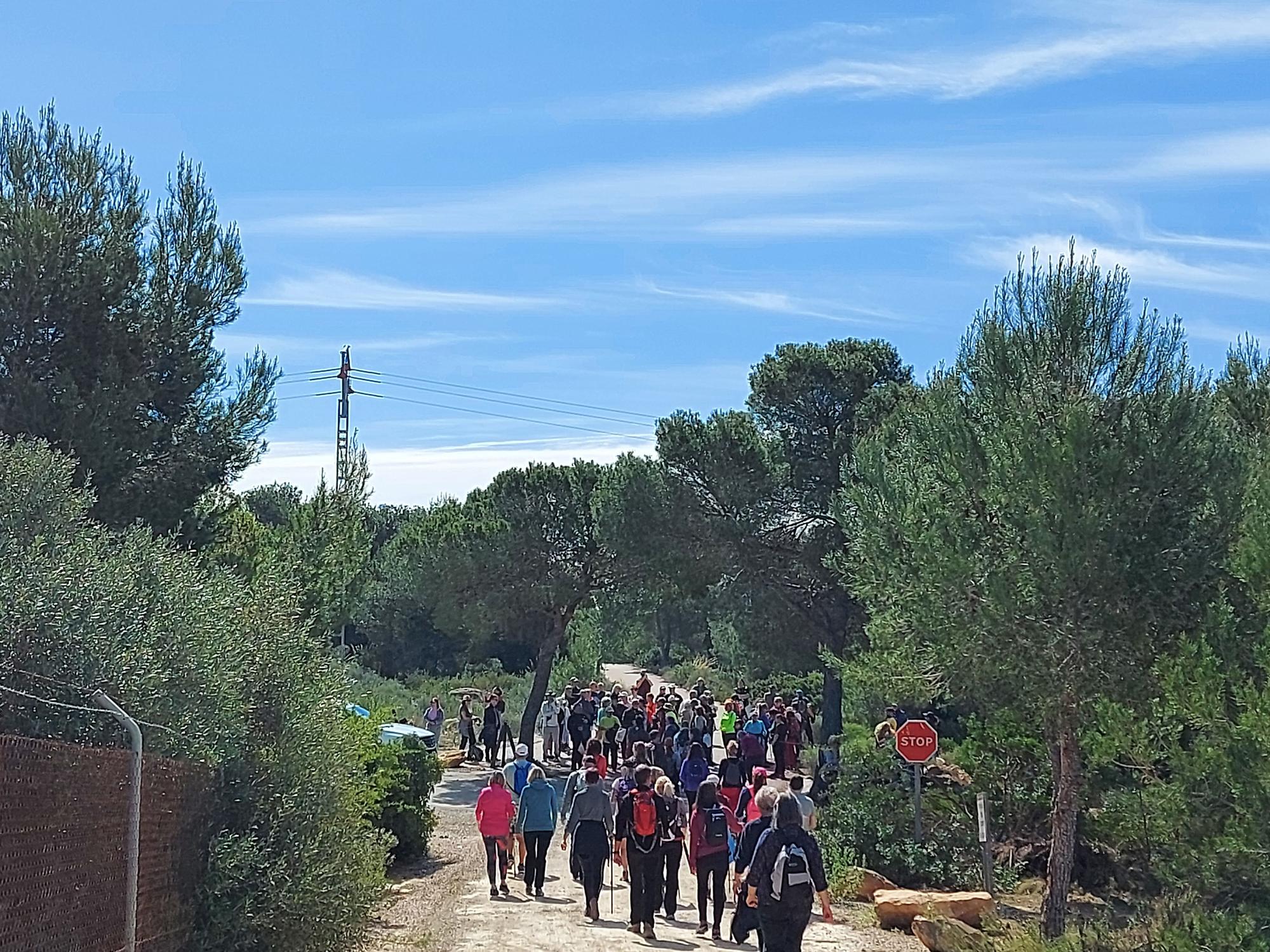 Unas 150 personas participan en una marcha por la colada de Sierra Escalona