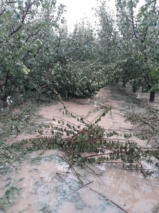 Cieza, paraje de la Parra y el Horno