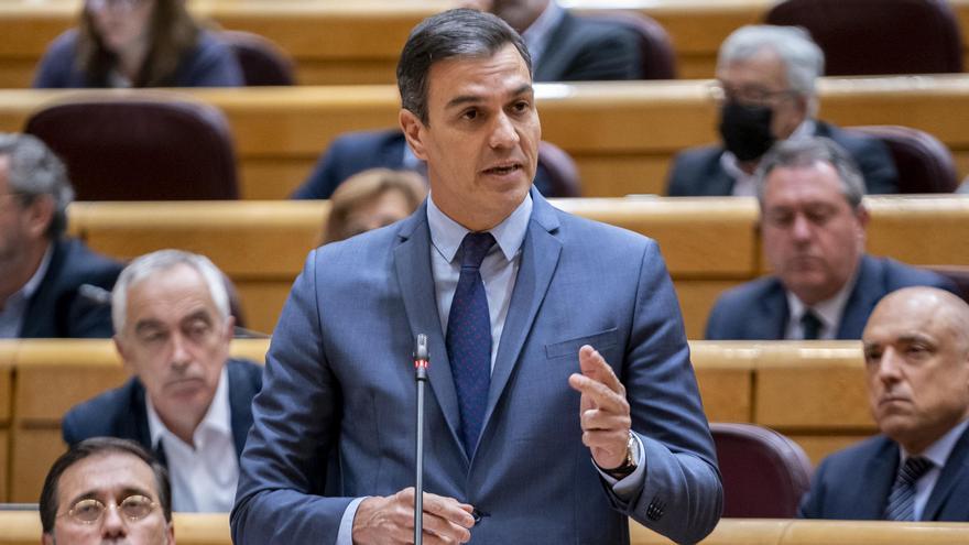 Pedro Sánchez, en el Senado.