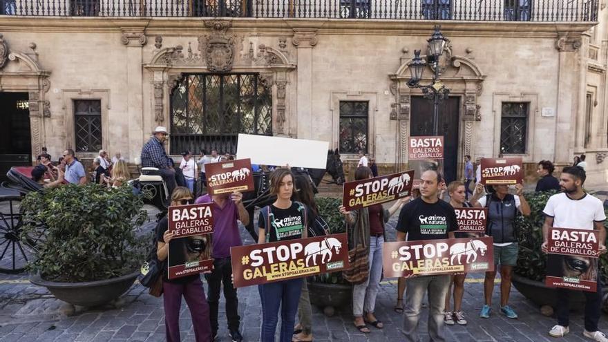 Los activistas de Anima Naturalis, protestando en la plaza de Cort.