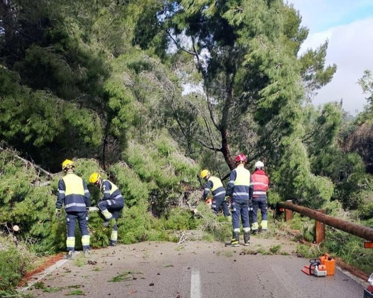 Feuerwehrleute entfernen durch den Sturm auf eine Landstraße gestürzte Bäume.