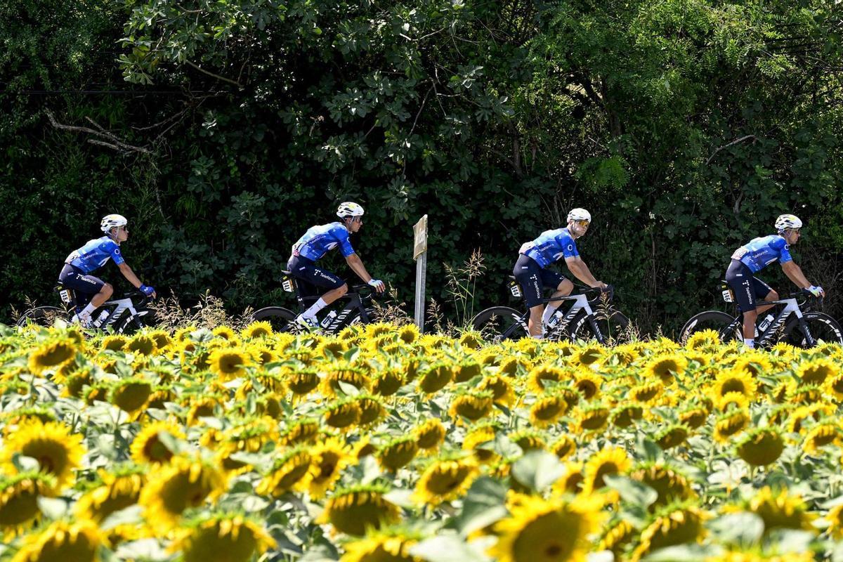 El Tour y los girasoles.