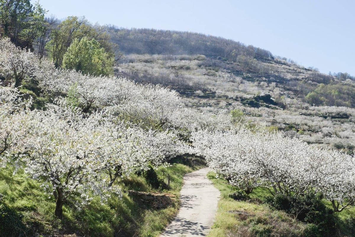 Valle del Jerte, Cáceres, Escapadas