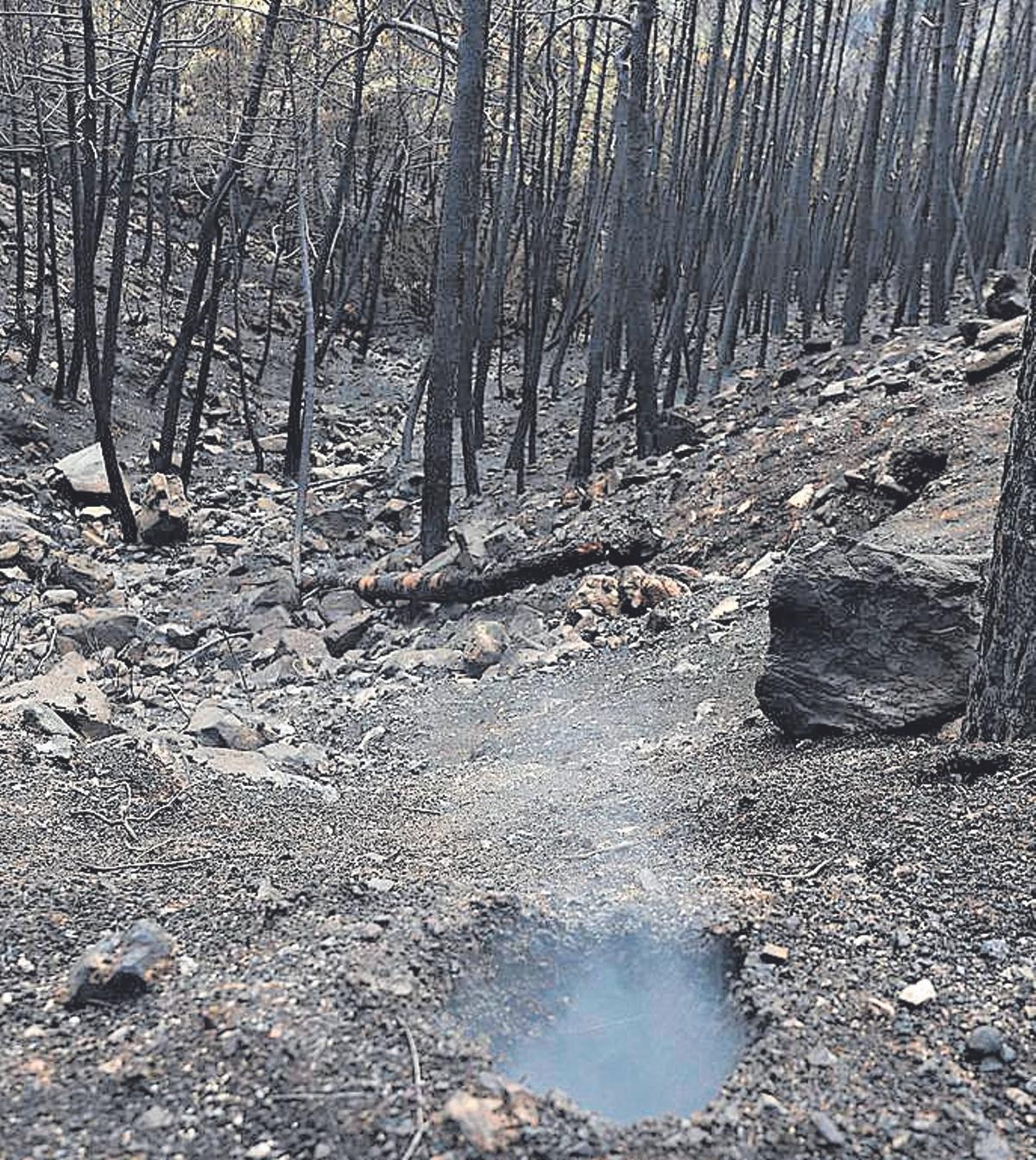 2 rra aún humeante tras la estabilización del fuego.