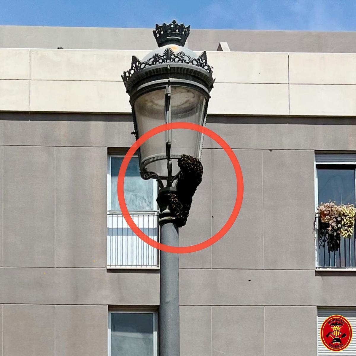 Los panales y enjambres también aparecen en las farolas