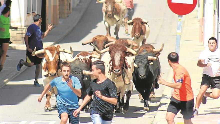 Alcalà vibra en sus fiestas con el vistoso encierro campero