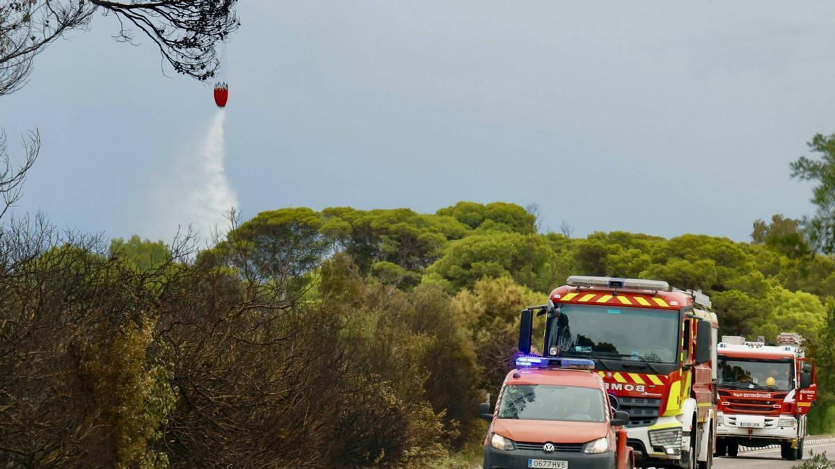 Dotaciones de bomberos en los trabajos de extinción del incendio forestal en La Dehesa de El Saler.
