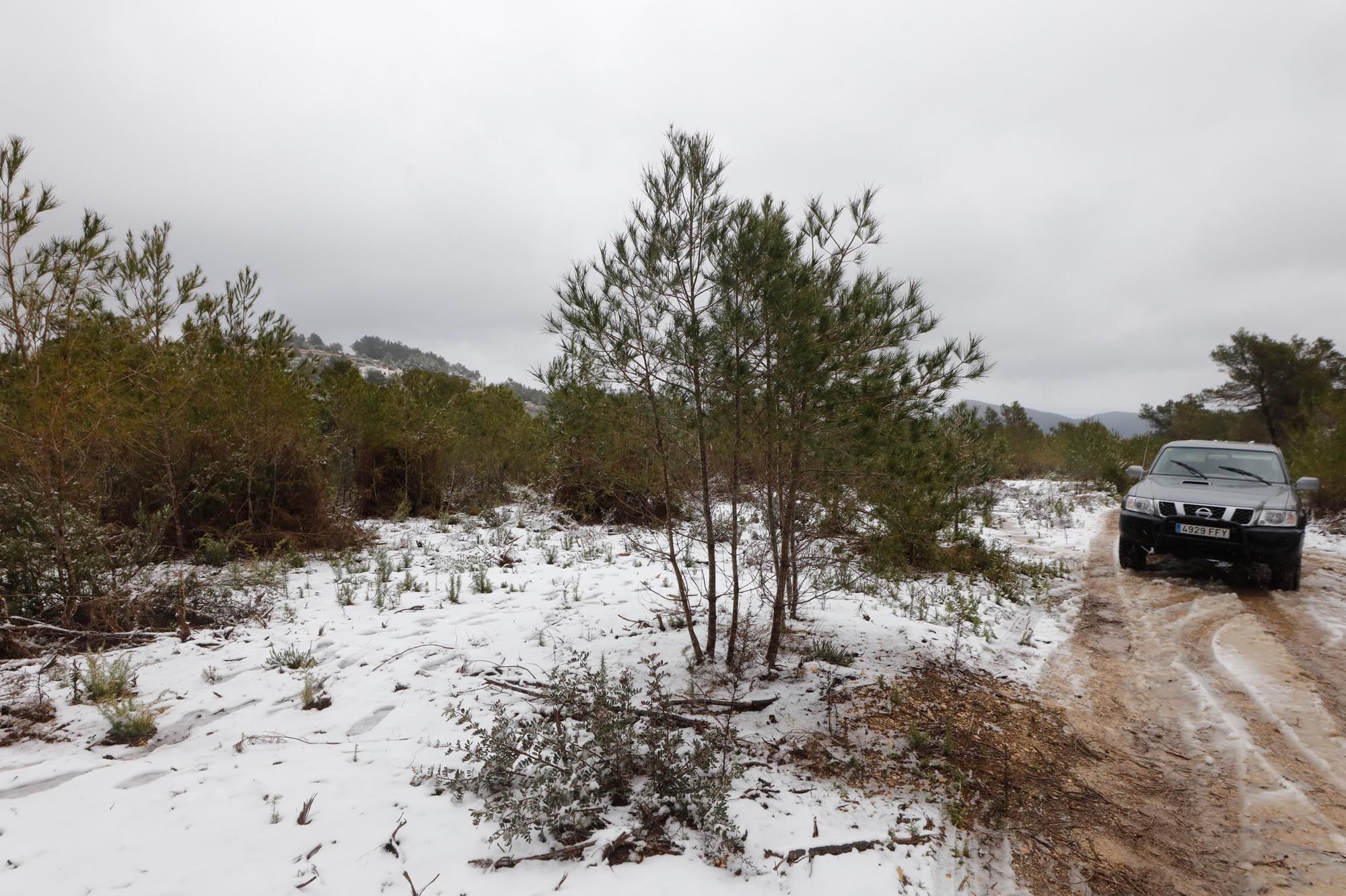 Galería de imágenes de la nieve por la borrasca Juliette en Ibiza