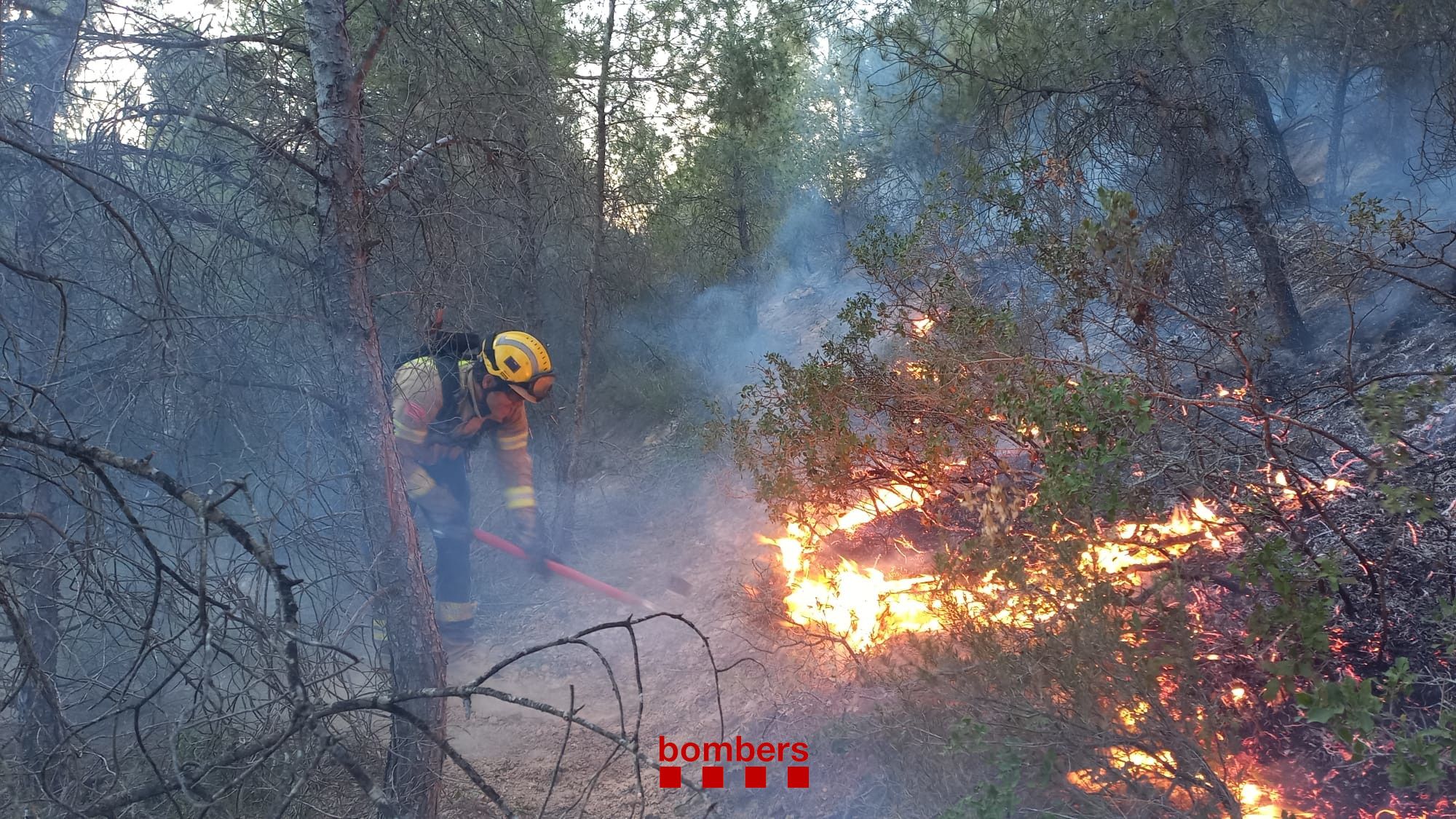 Incendio activo en la frontera entre Catalunya y Aragón: La Granja d'Escarp y Seròs (Segrià, Lleida) y Mequinenza (Zaragoza)
