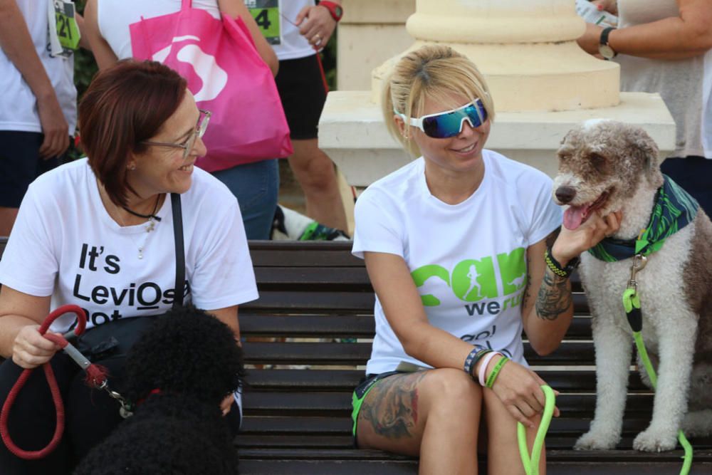 El Parque Huelin ha acogido la primera edición de un evento destinado a las mascotas y a sus dueños, con carreras en diversas categorías, actividades gratuitas y numerosos stands