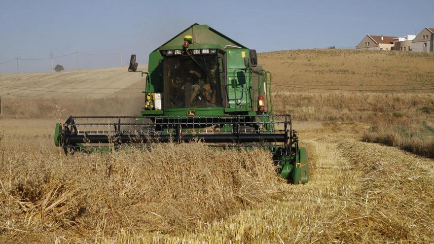 Sanabria, Benavente y los Valles, Aliste y Campos Pan, comarcas agrarias donde se flexibilizan las normas para no cosechado