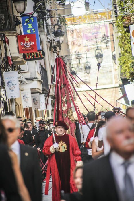 El día del Pájaro en Orihuela