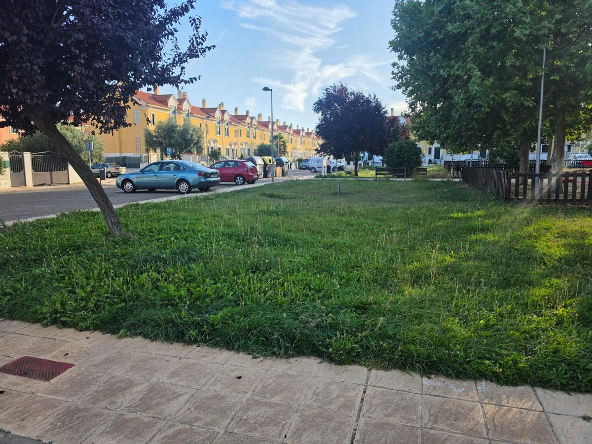 Parques y jardines del barrio siglo XXI llenos de maleza y sin mantenimiento.