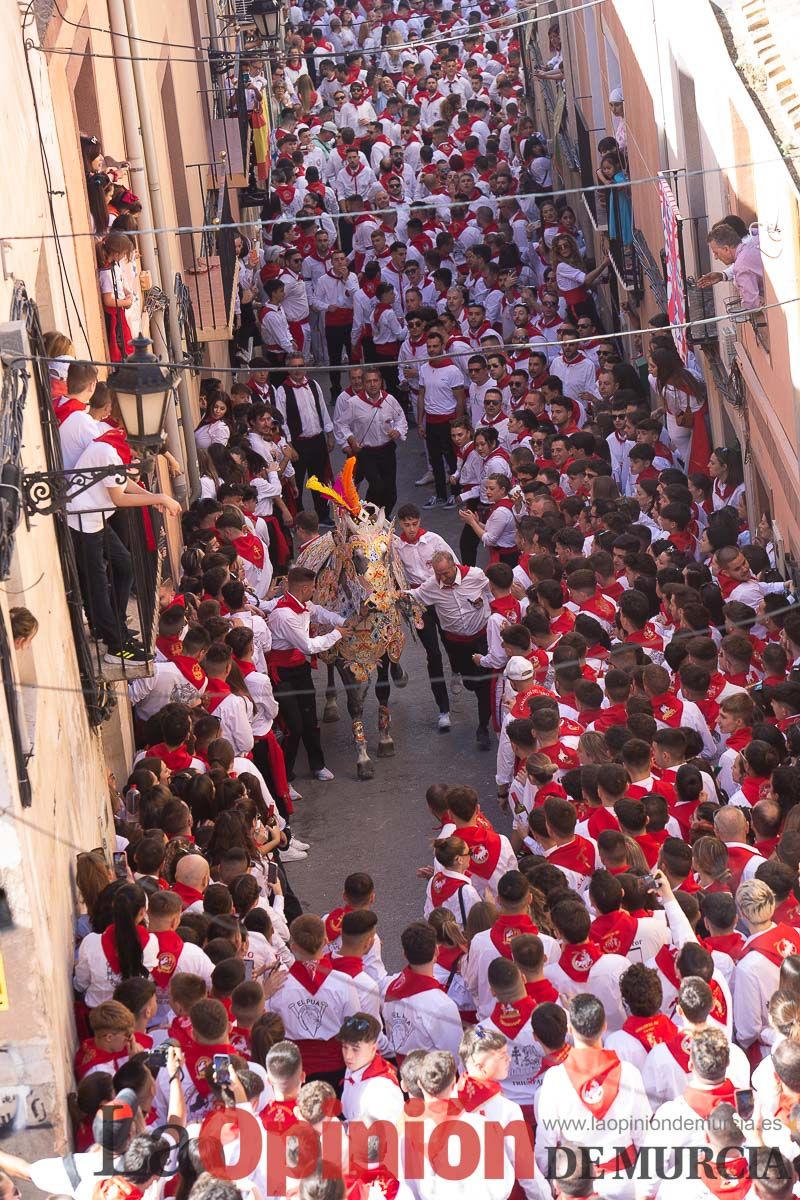 Caballos del Vino en la cuesta de la Simona